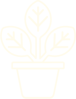 Dessin simple au trait en blanc d'une plante en pot avec trois feuilles, sur fond transparent.